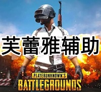 绝地求生芙蕾雅辅助（娱乐项目 无脑登录）