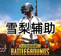 绝地求生雪梨辅助（简单开启，清晰透视）